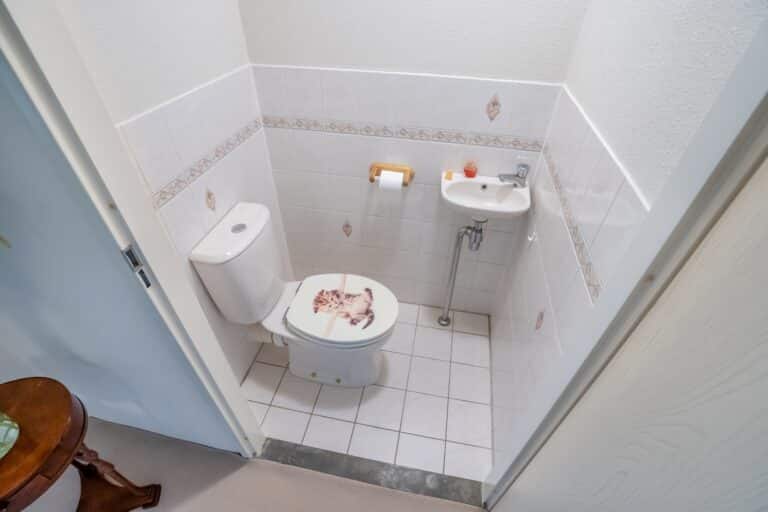 Foto van de woning aan de Witmolen 135