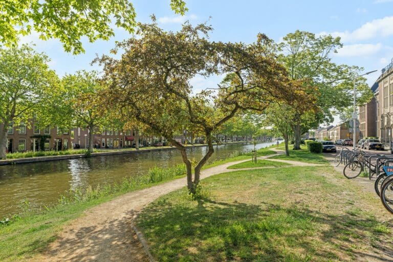 Foto van de woning aan de Oostplantsoen 136