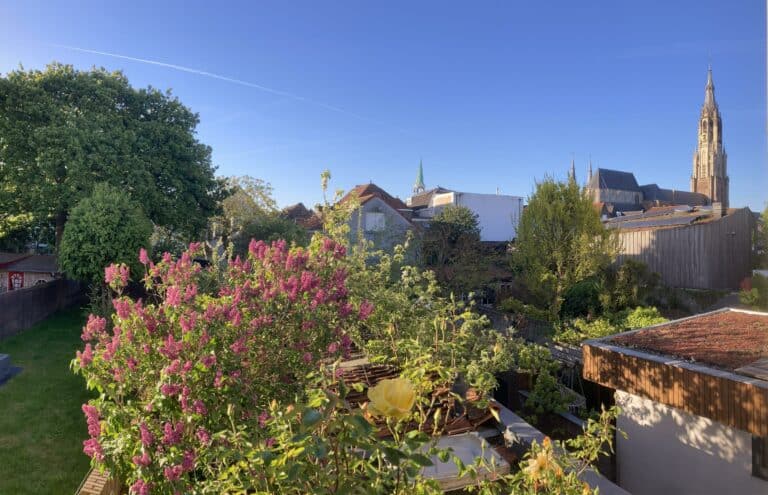 Foto van de woning aan de Rietveld 131