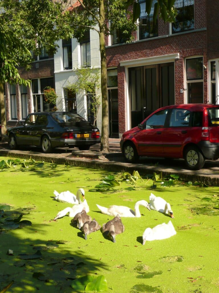 Foto van de woning aan de Rietveld 131