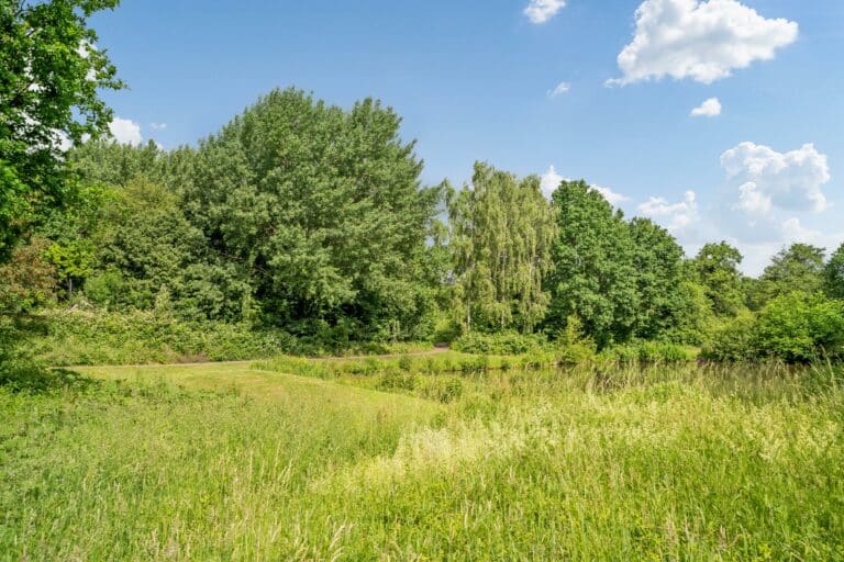Foto van de woning aan de van Vredenburchweg 475