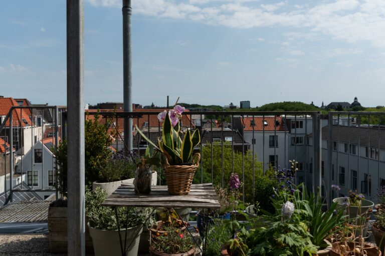 Foto van de woning aan de Westvest 287