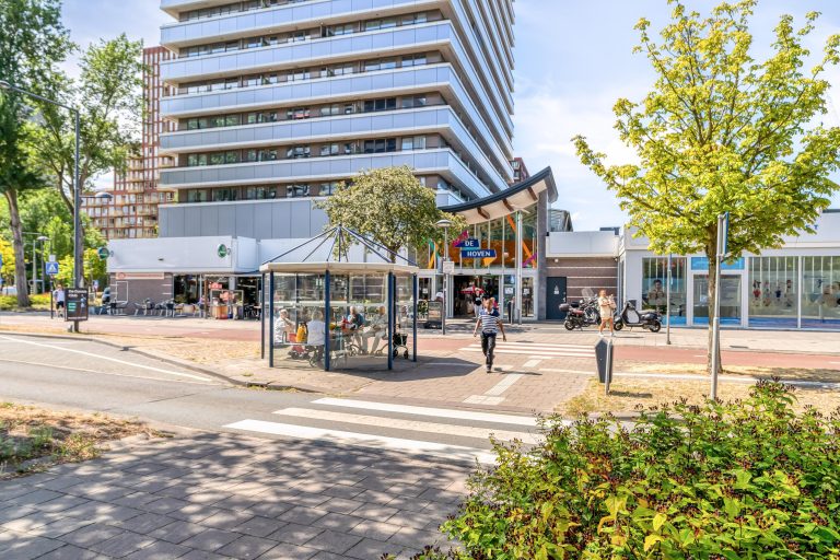 Foto van de woning aan de Papsouwselaan 219