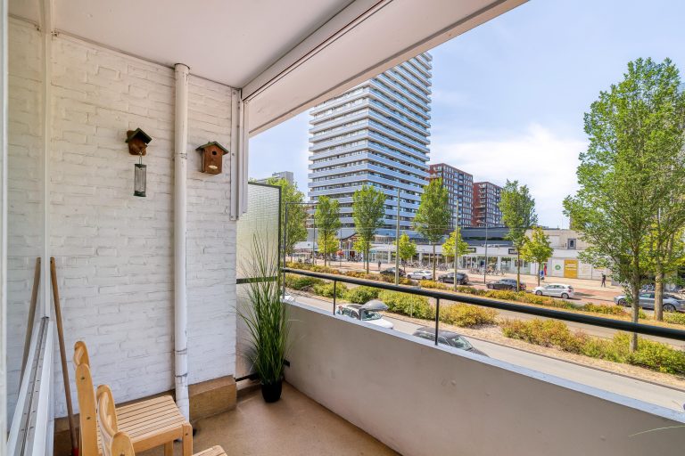 Foto van de woning aan de Papsouwselaan 219