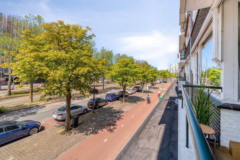 Foto van de woning aan de Papsouwselaan 219