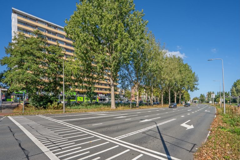 Foto van de woning aan de Van Adrichemstraat 255