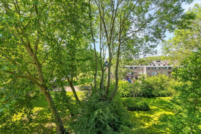 Foto van de woning aan de Roland Holstlaan 902